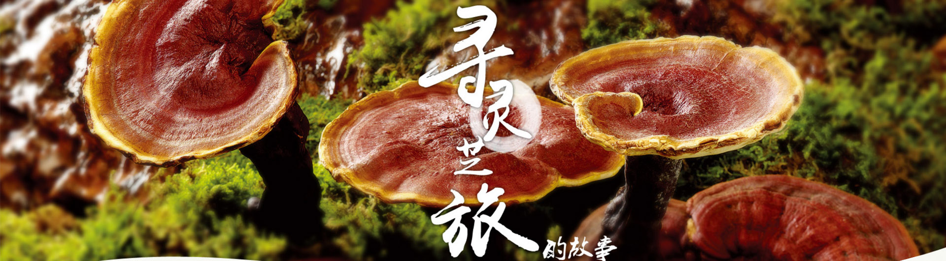 上海弘寿堂